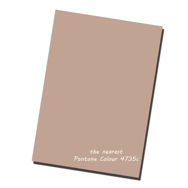 Warm Mushroom 220gsm