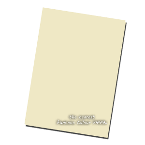 Soft Cream Pearlised Paper 120gsm