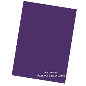 Purple Light Weight 140gsm