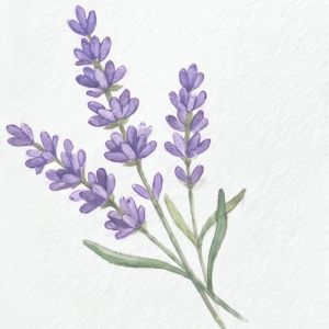 watercolour-flower