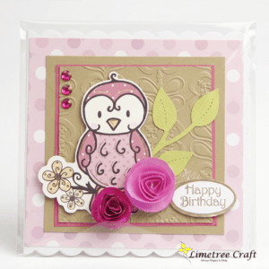 card-in-bag