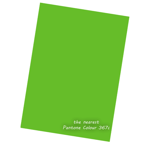 Tropical Lime Green 160gsm