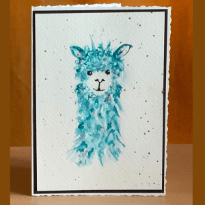 alpaca