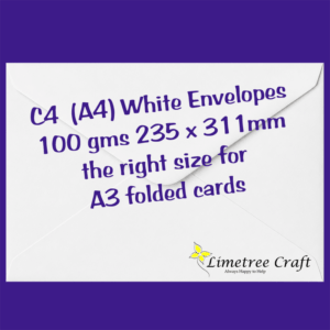 C4-envelope-words